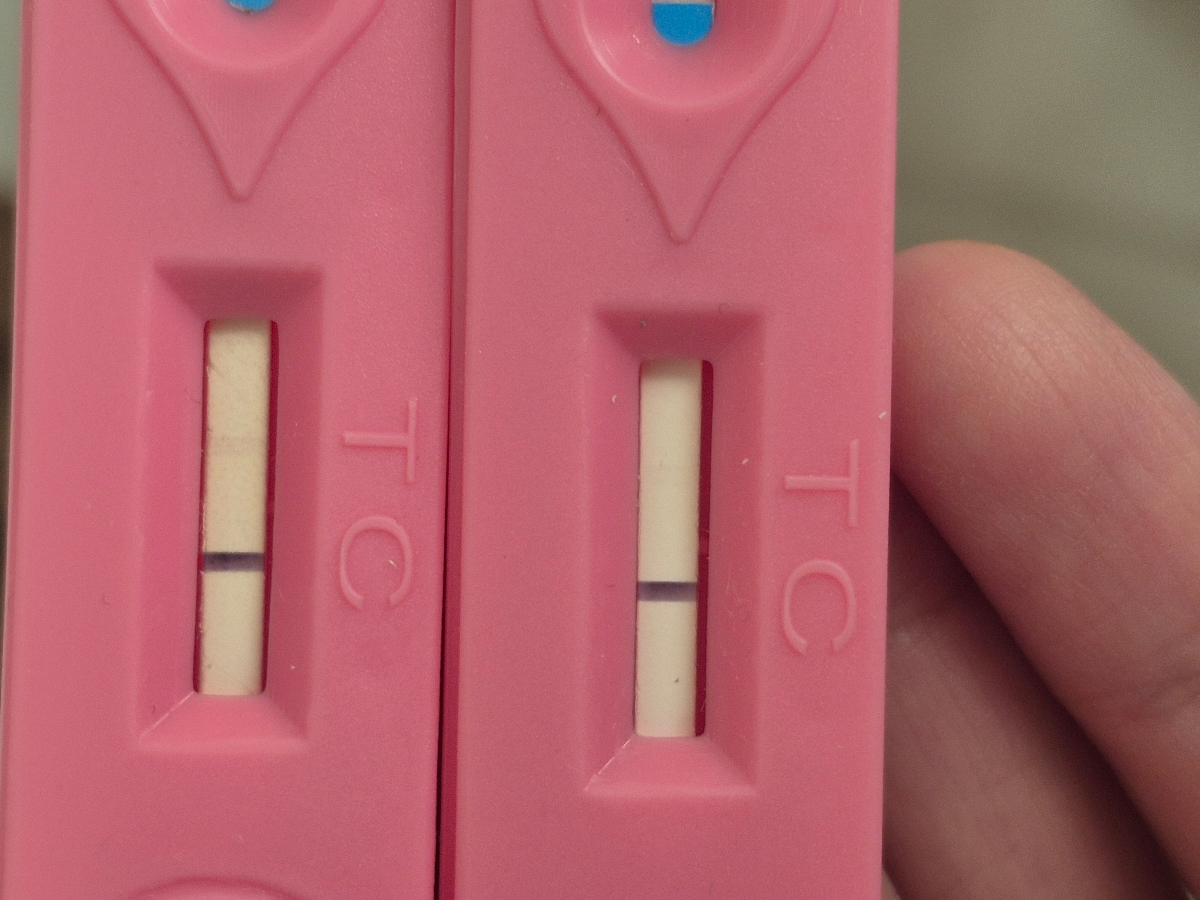 اینها هم برای دیروزه