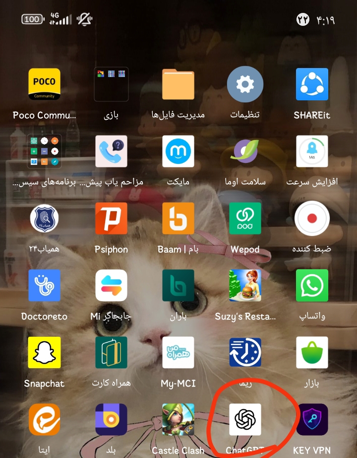 اینی که دورش خط کشیدمه