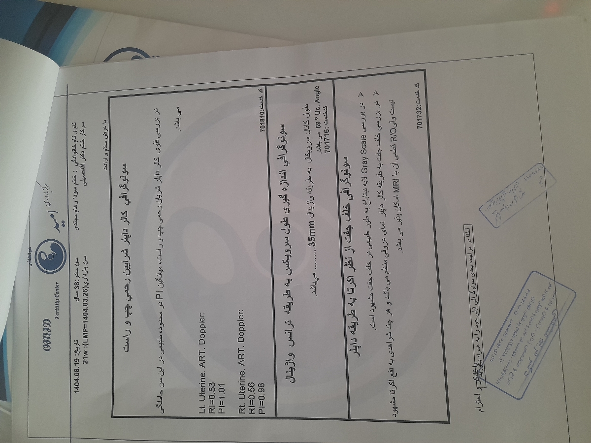 فشار واژن در هفته ۲۱ فشار واژن در هفته ۲۱