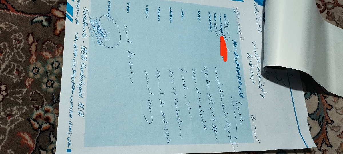 اکو قلب جنین