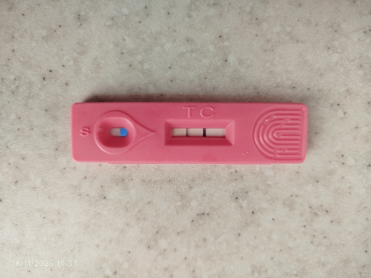 این هم عکس بی بی چک دیروز