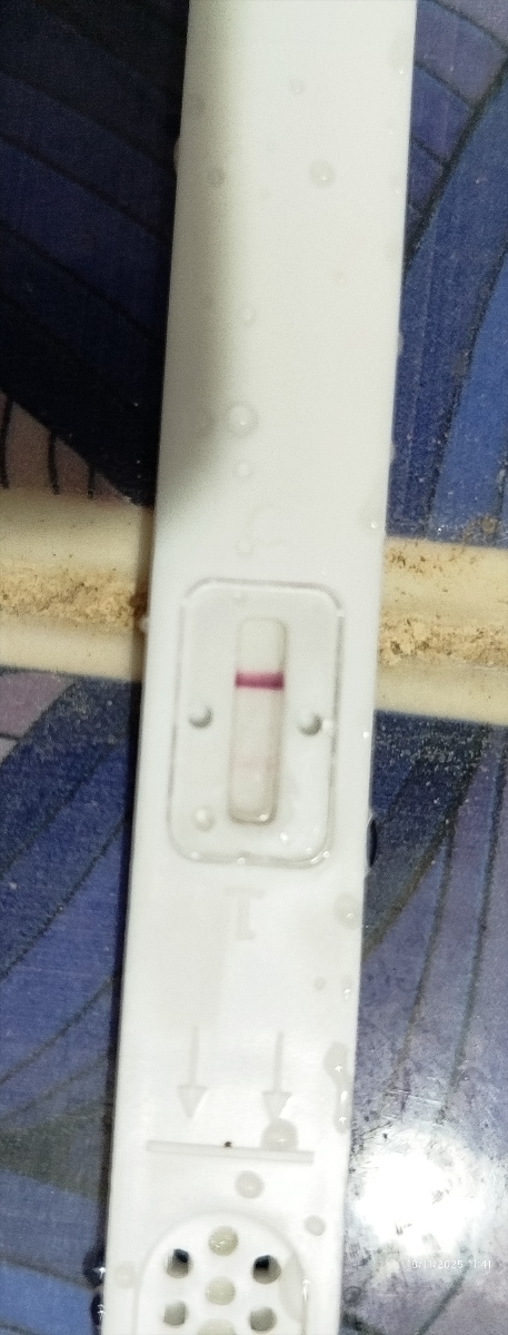 بی بی چک هاله دار