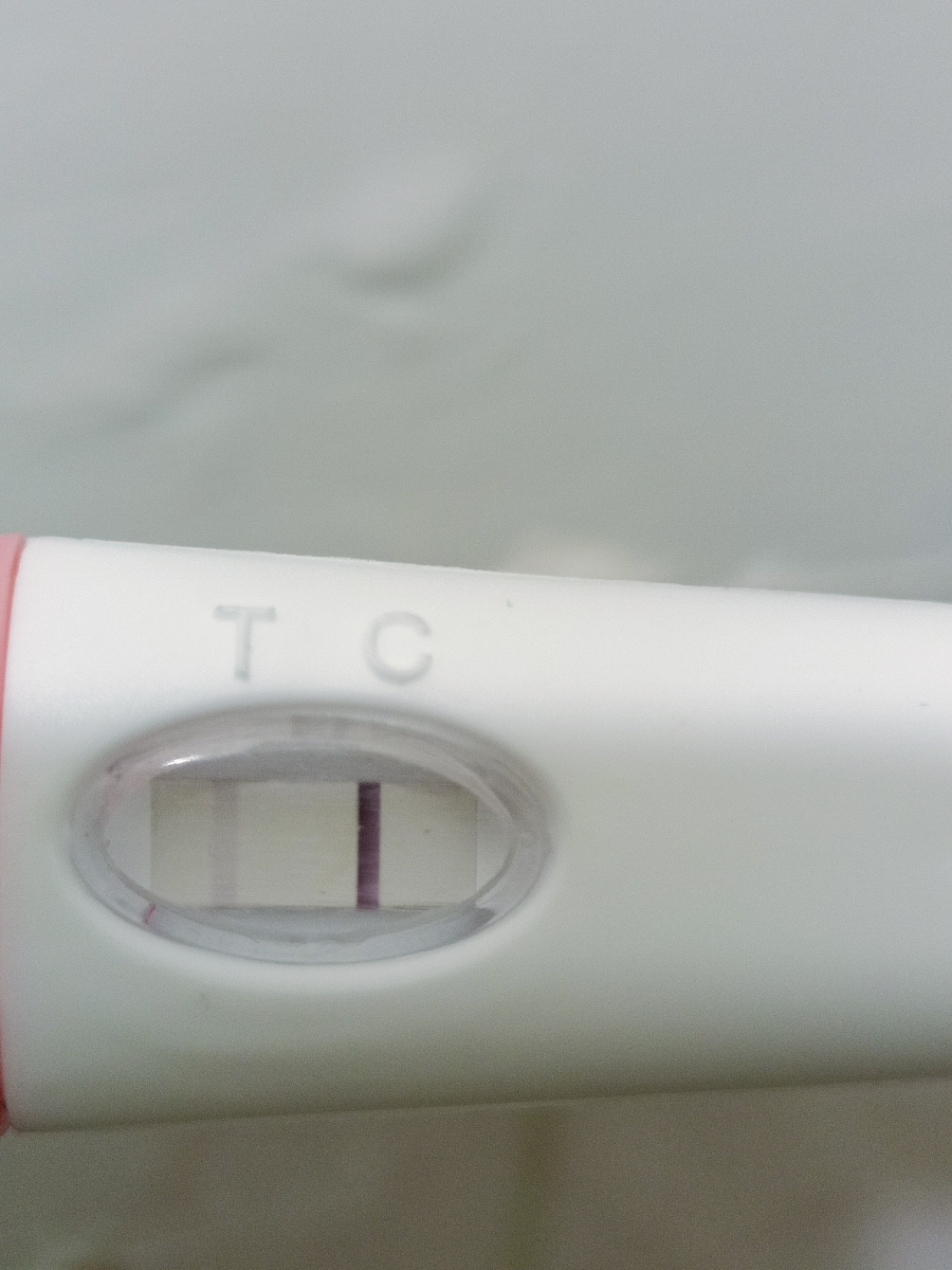 بی بی چک هاله دار