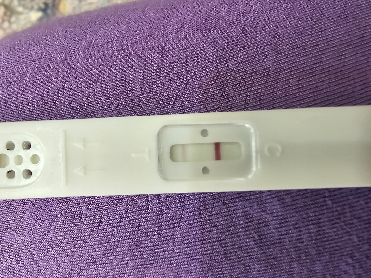 بی بی چک هاله دار