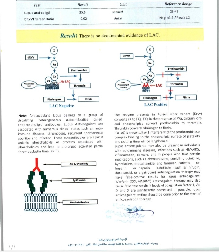 سقط و غلظت خون