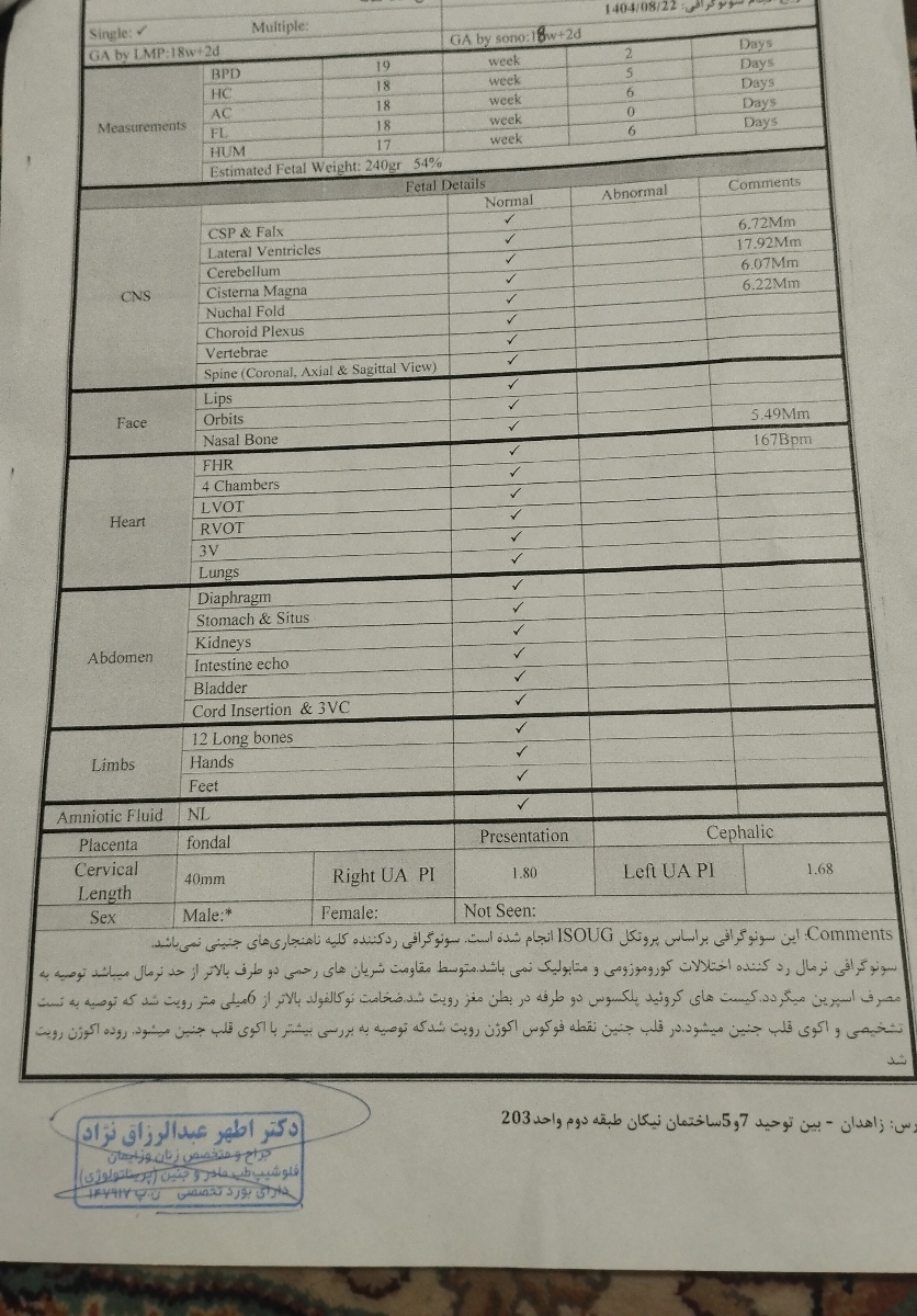 سونوگرافی اول 