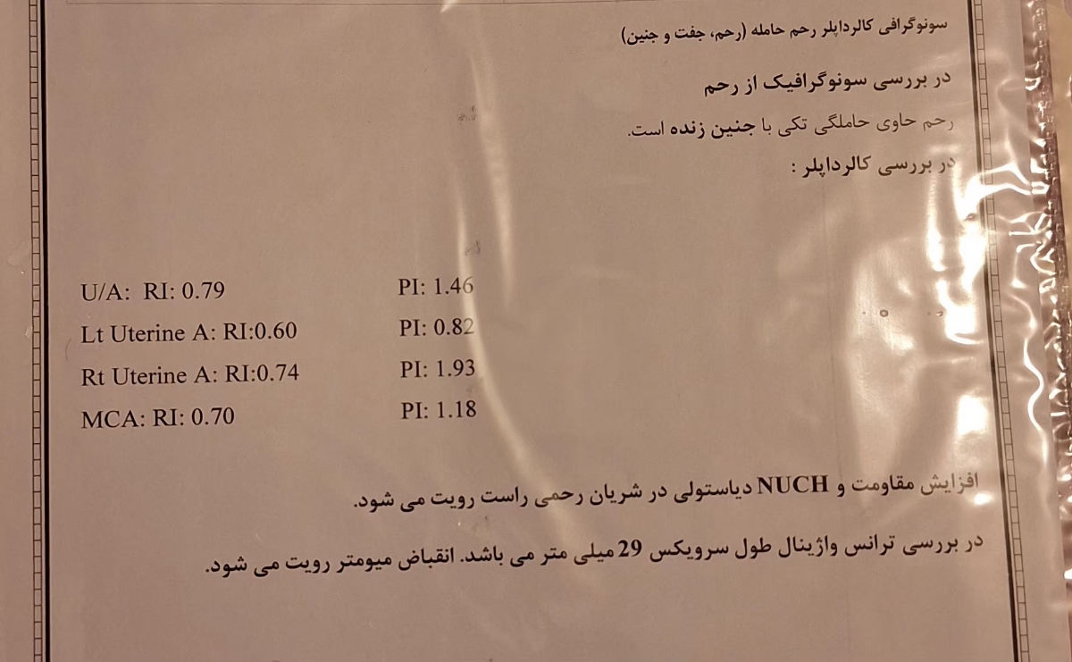 سونو داپلر جنین هفته ۱۹