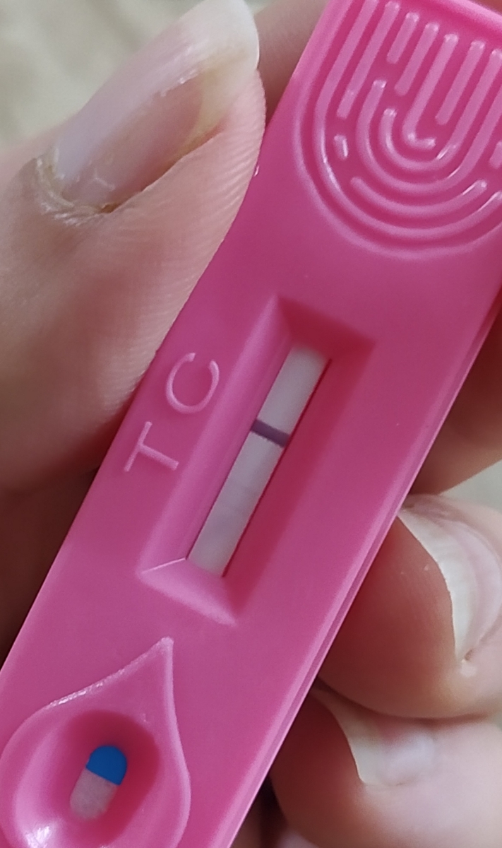 نتیجه بی بی چک