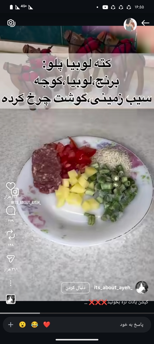 مثلا فردا میخام این کته رو بدم فک کنم پیجش درمورد غذای بچه اس