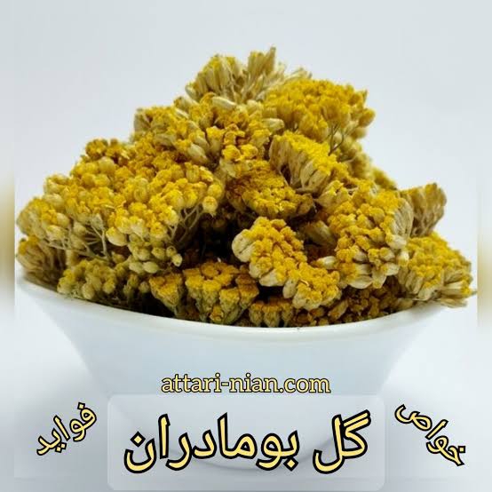 اسمش بومادران اسمش بومادران