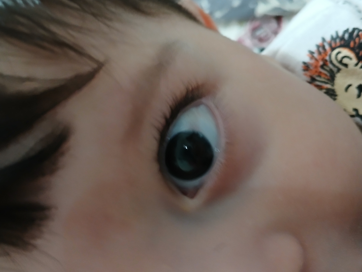 افتادن از کالسکه افتادن از کالسکه