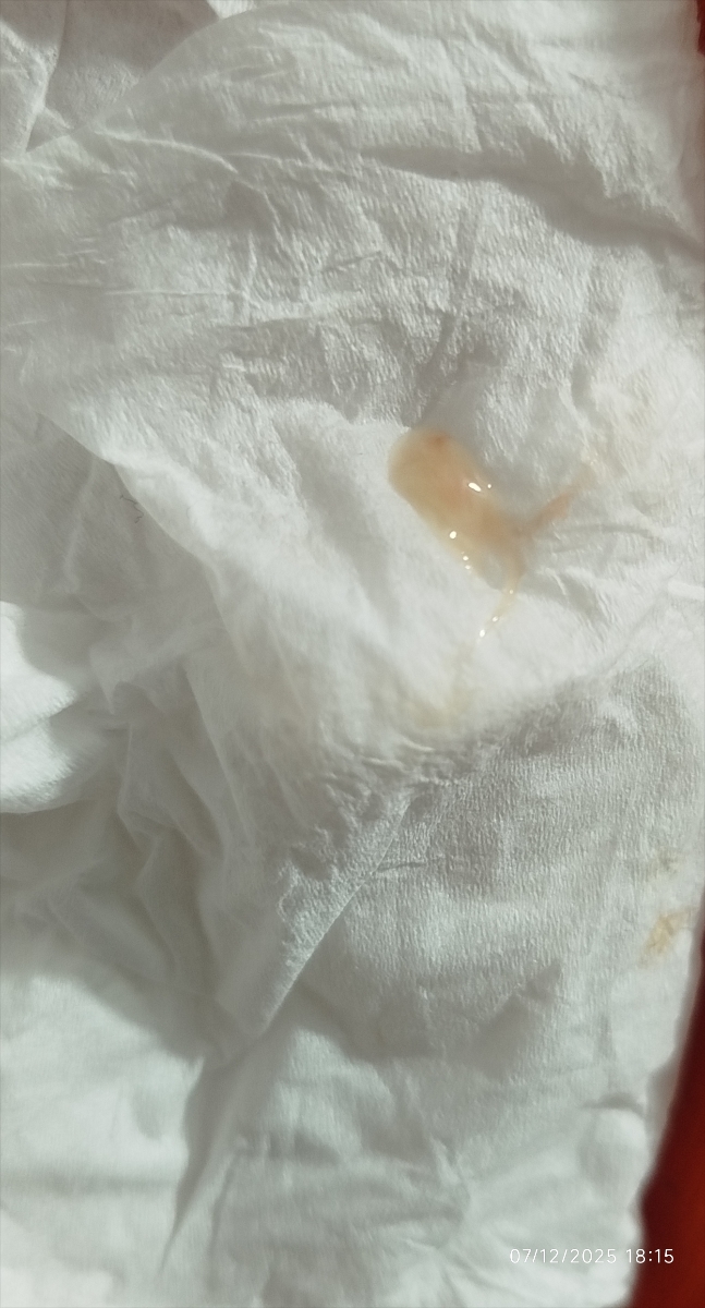 عذر خواهی میکنم بابت عکس عذر خواهی میکنم بابت عکس