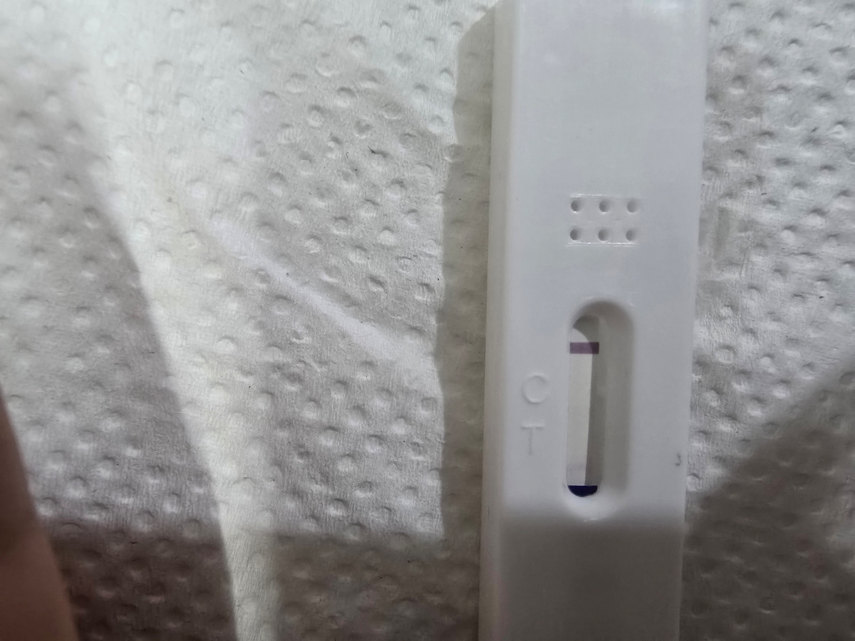 در مورد بی بی چک