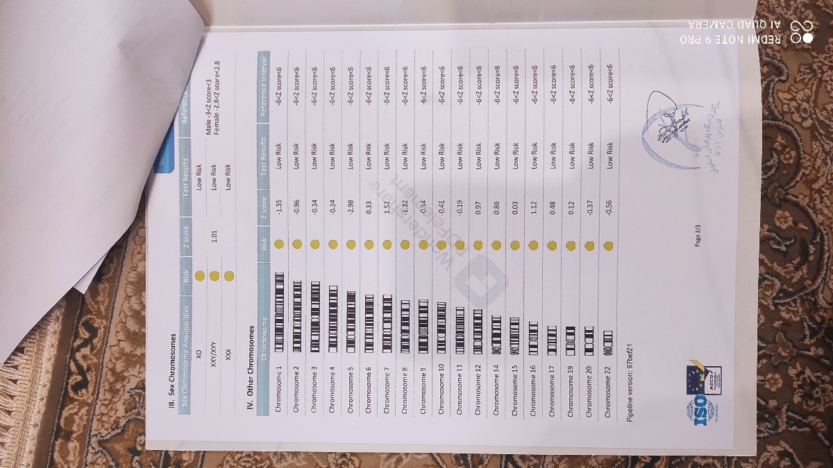 دکتر جان زحمت تفسیر سلفری دوقلوهامو زخمت میکشید