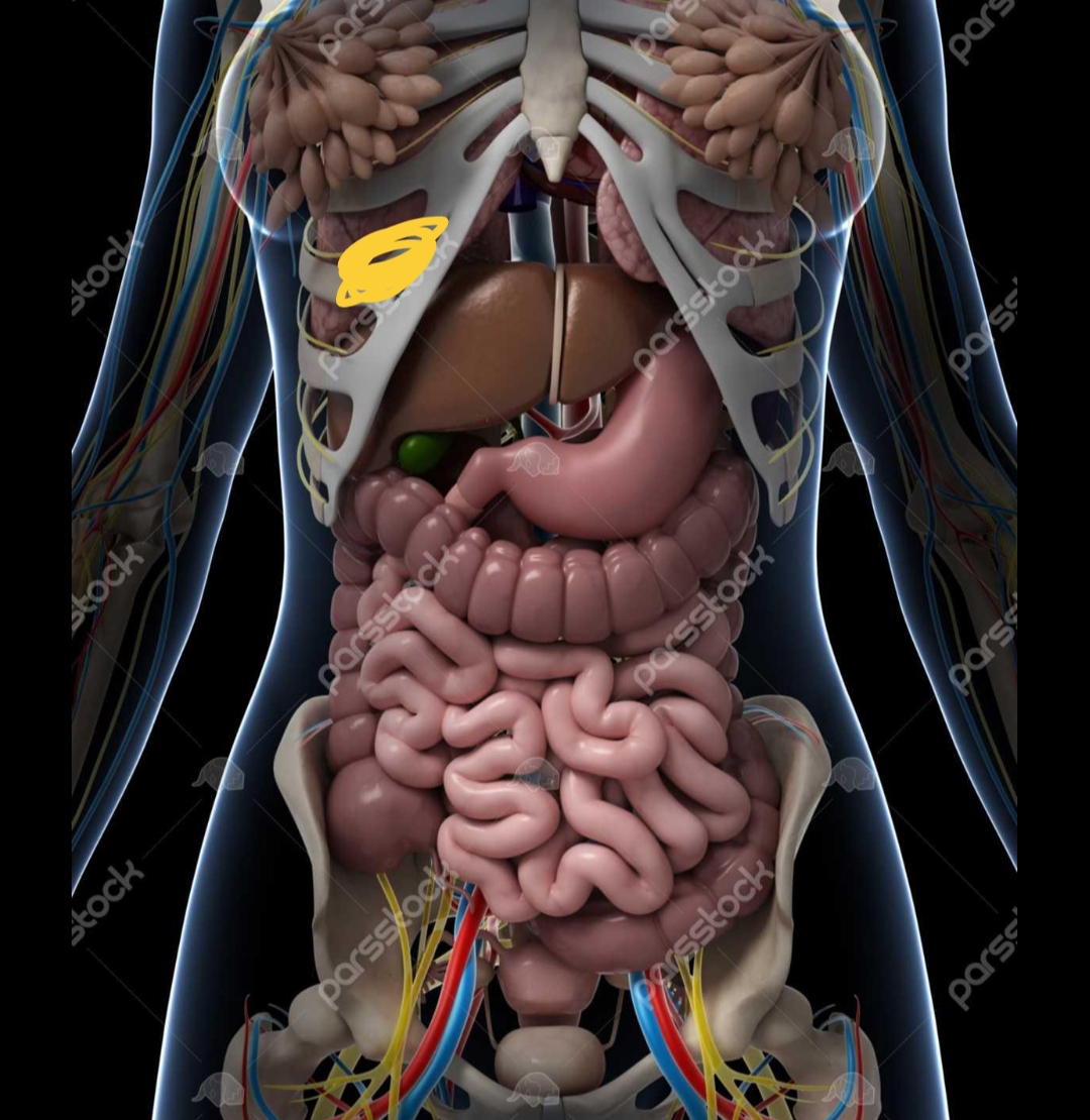 درد زیر سینه دارم خانم دکتر