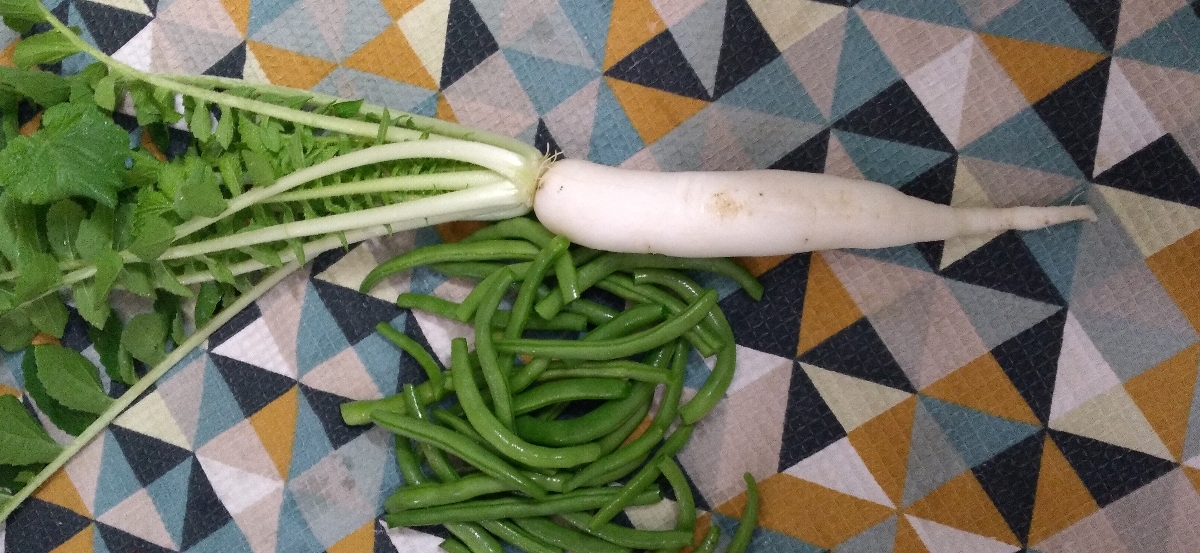 برداشت اولین ترب و لوبیا از باغچه حیاطم 🤩 برداشت اولین ترب و لوبیا از باغچه حیاطم 🤩