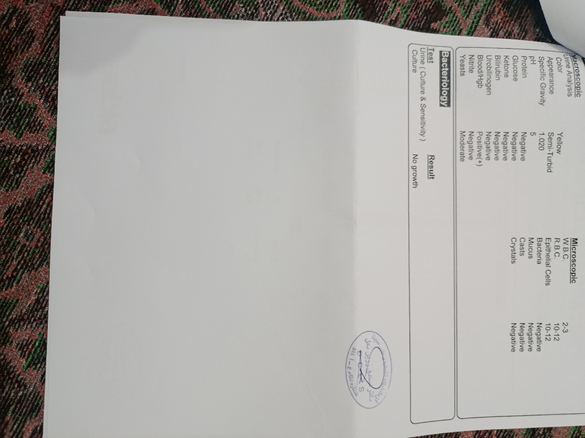 تفسیر آزمایشات اولیه بارداری