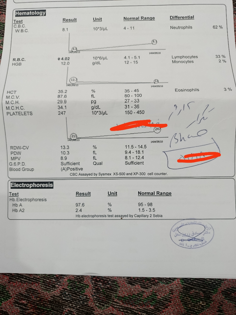 تفسیر آزمایشات اولیه بارداری