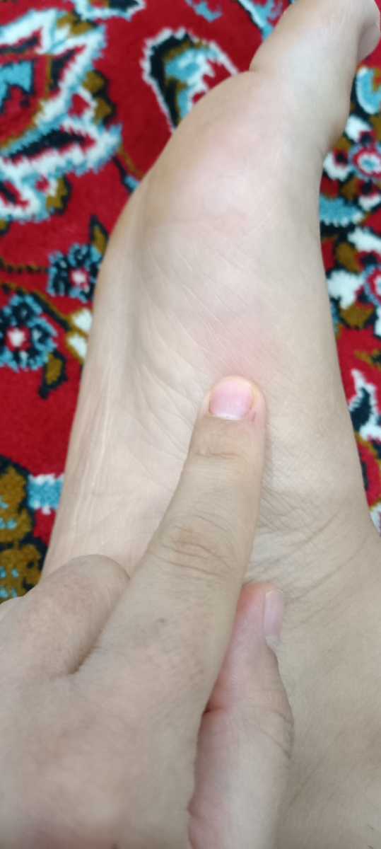 دیروز دیروز