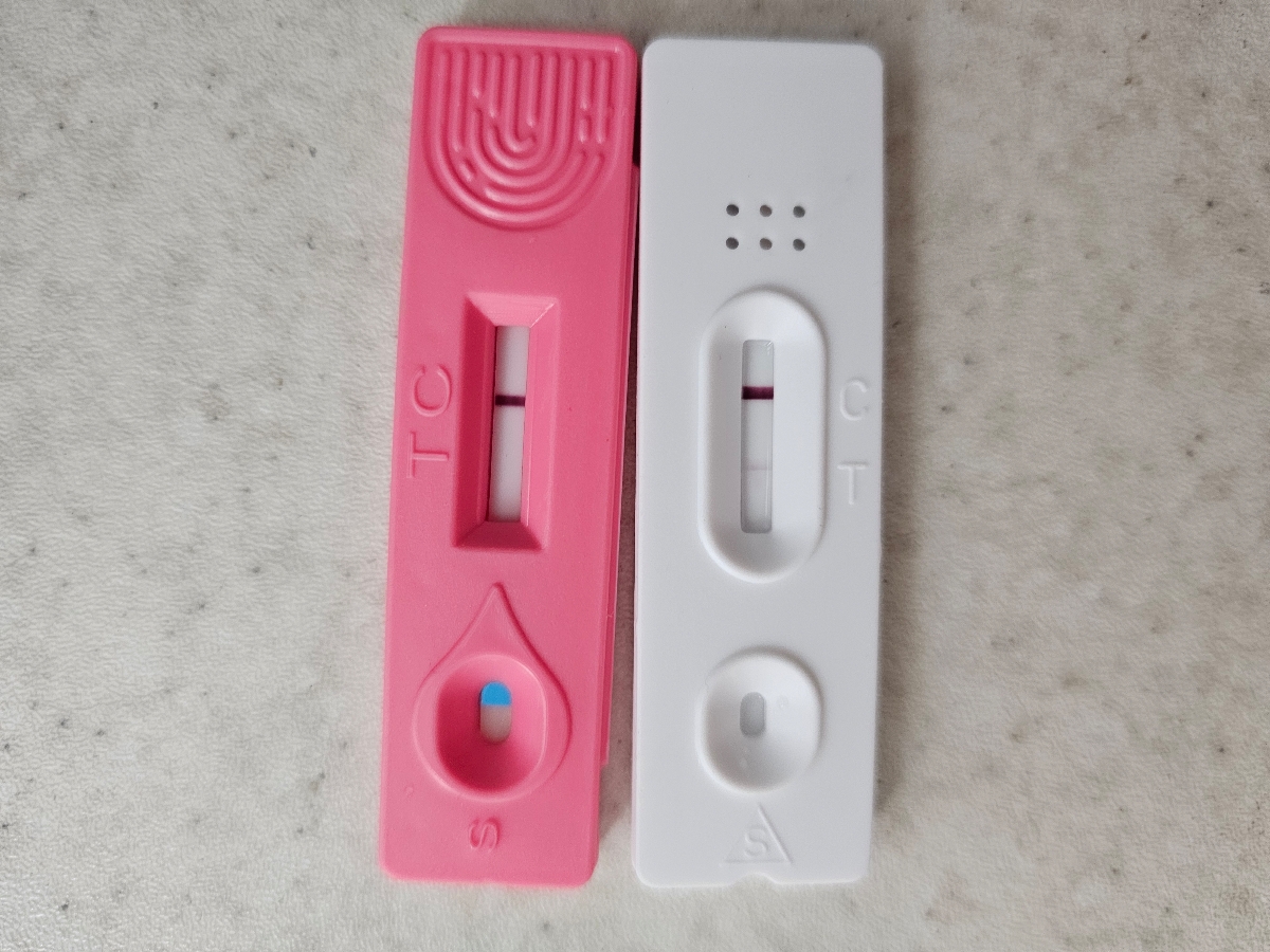 الان من کدوم بی بی چک رو جدی بگیرم