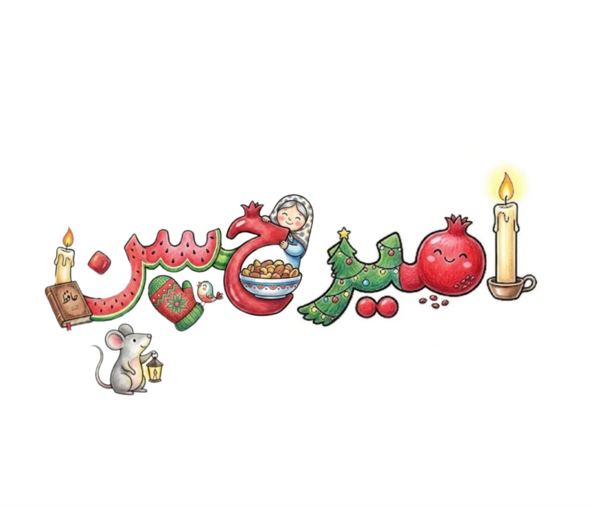 امیر حســن💕 امیر حســن💕