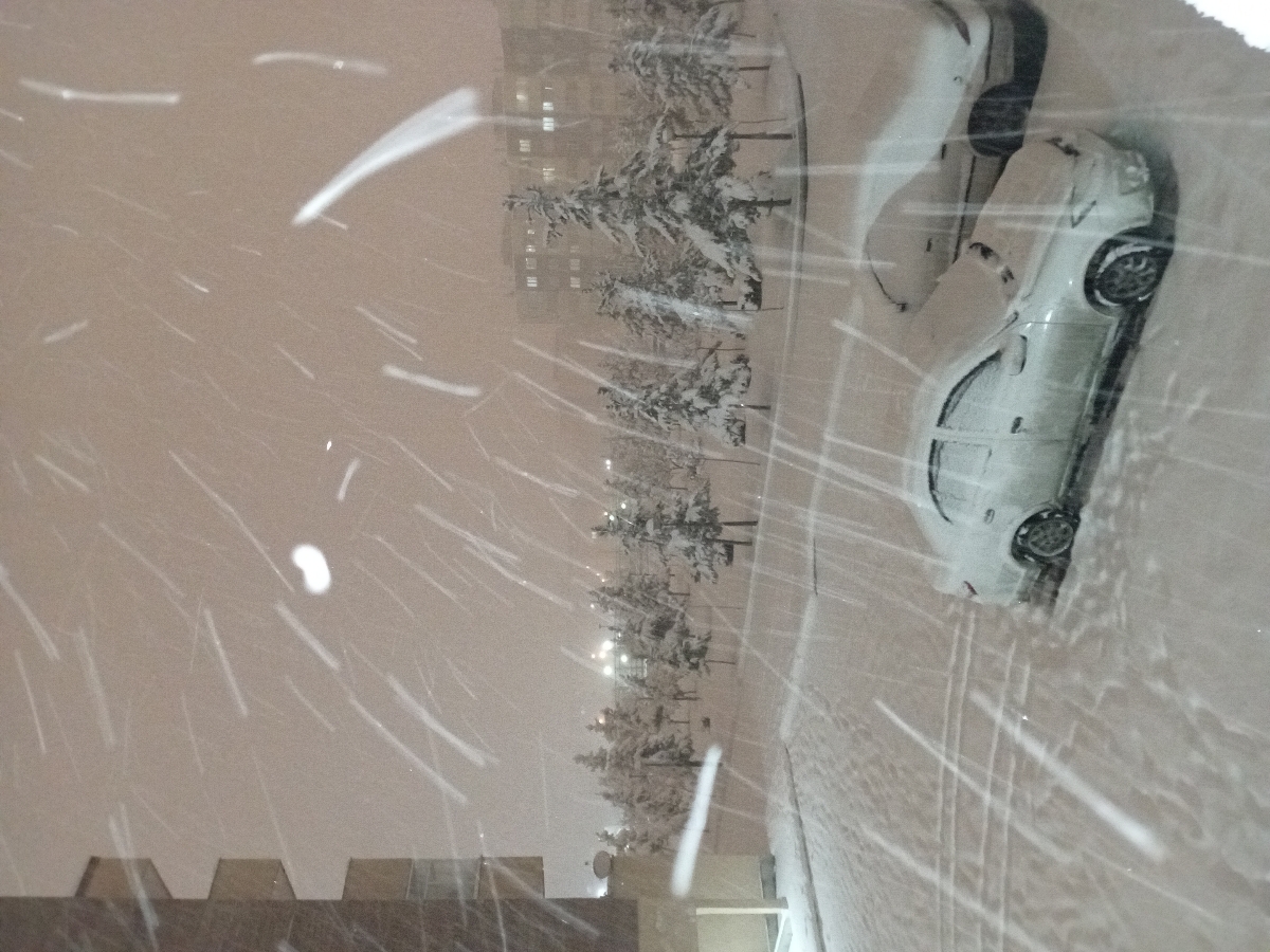 بیا عکس برف اوردم کیف کنین