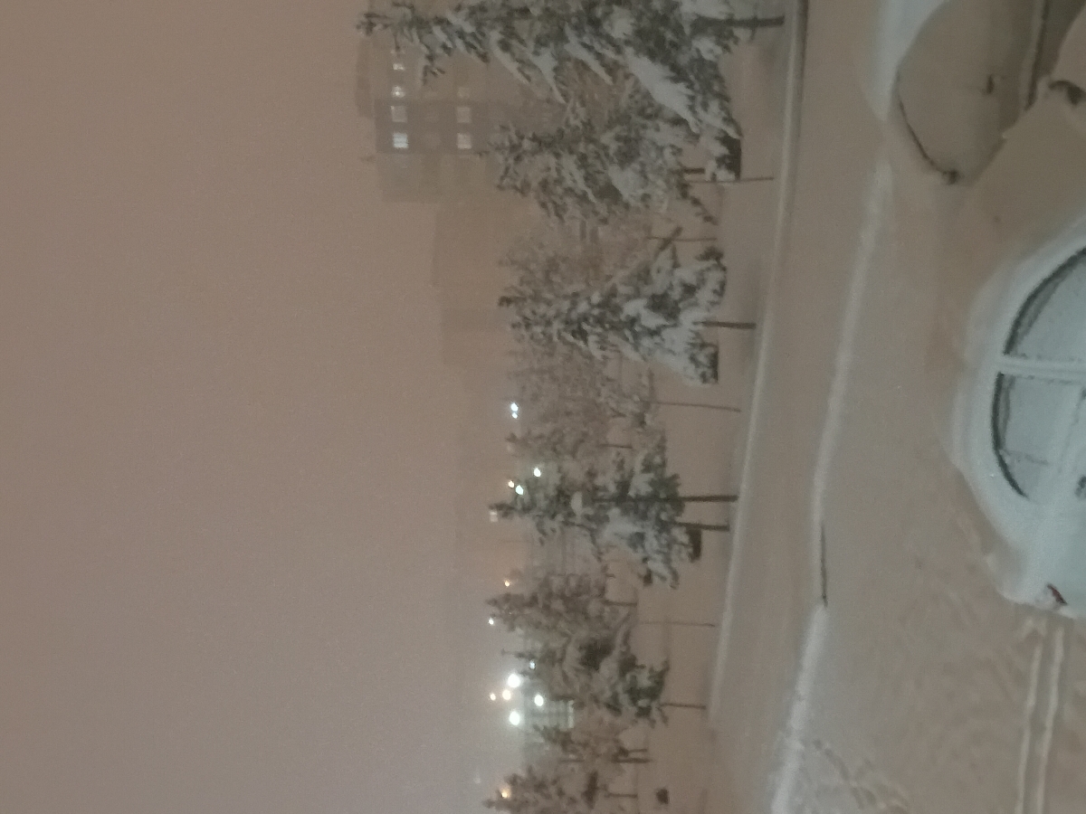 تو این وضعیت مملکت گرونی و... به فکر بچه دار شدن به نظرتون منطقیه؟