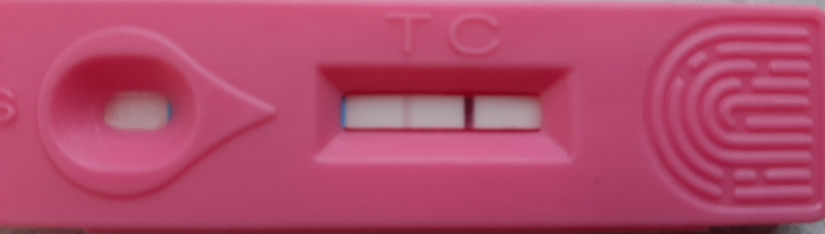 اساتید بی بی چک اساتید بی بی چک