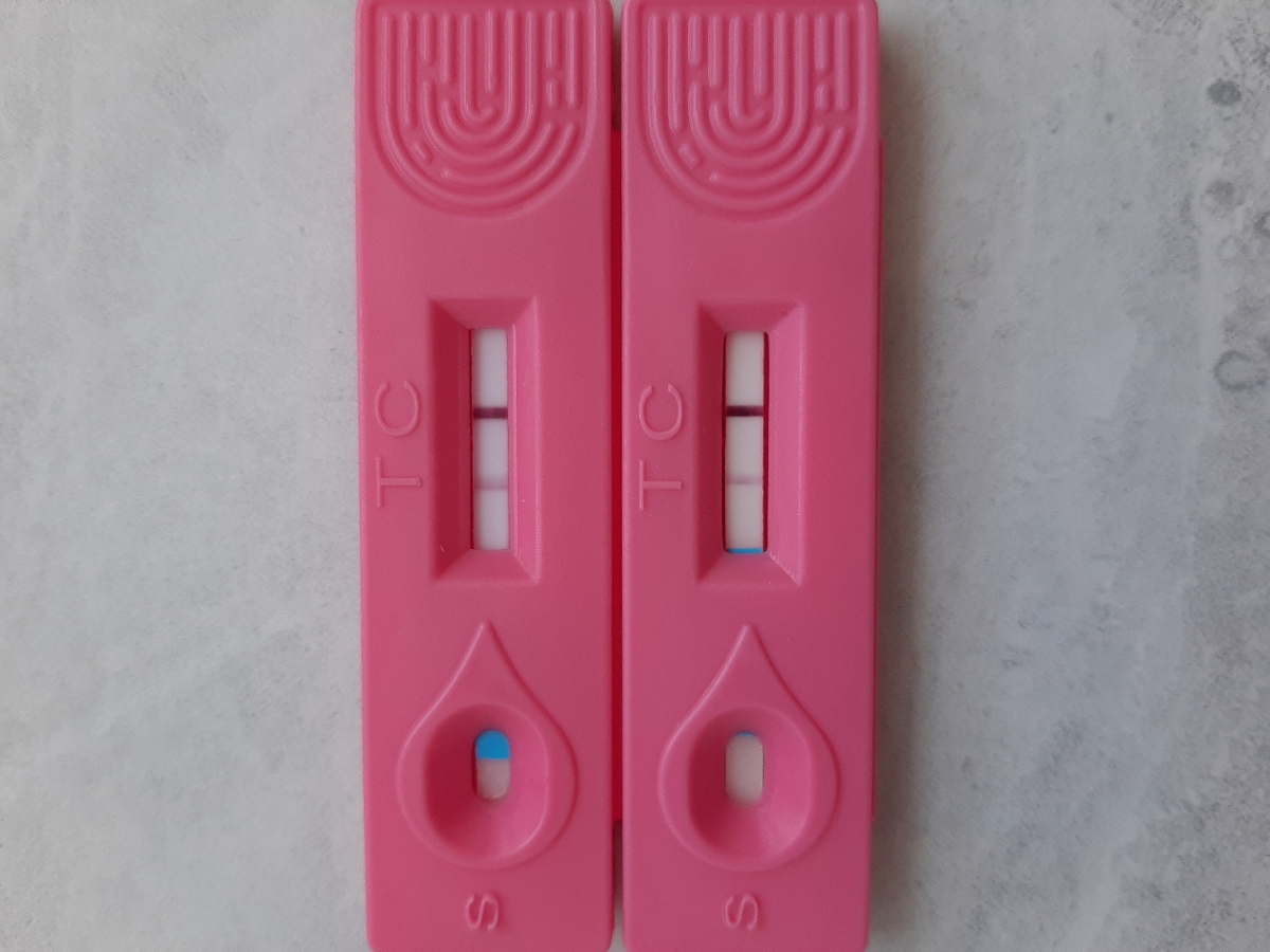 اساتید بی بی چک اساتید بی بی چک