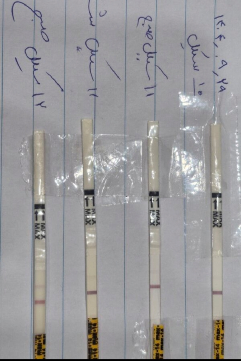 امروز که روز ۱۲ بود تازه خیسه ولی خشک که شد کمی پررنگتر شد امروز که روز ۱۲ بود تازه خیسه ولی خشک که شد کمی پررنگتر شد