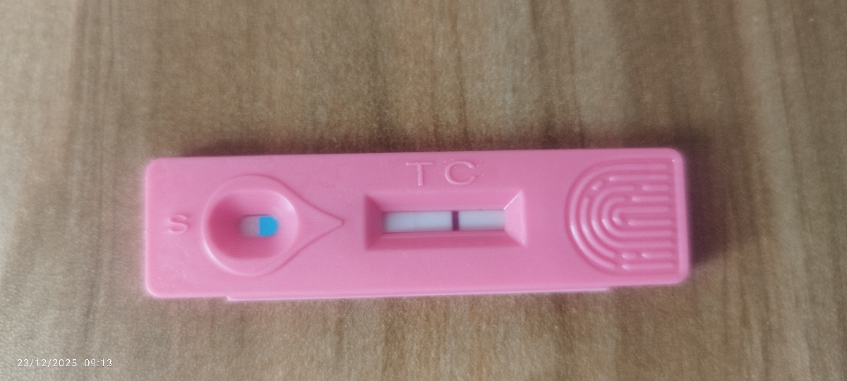 بیبی چک هاله دار