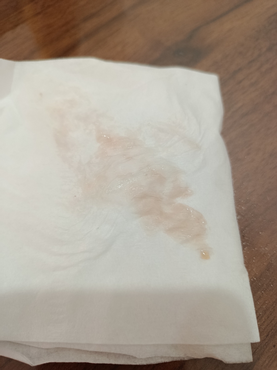 بابت عکس عذر خواهی می کنم 