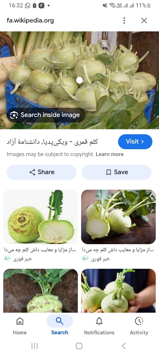 سوزش و درد سینه در شیردهی سوزش و درد سینه در شیردهی