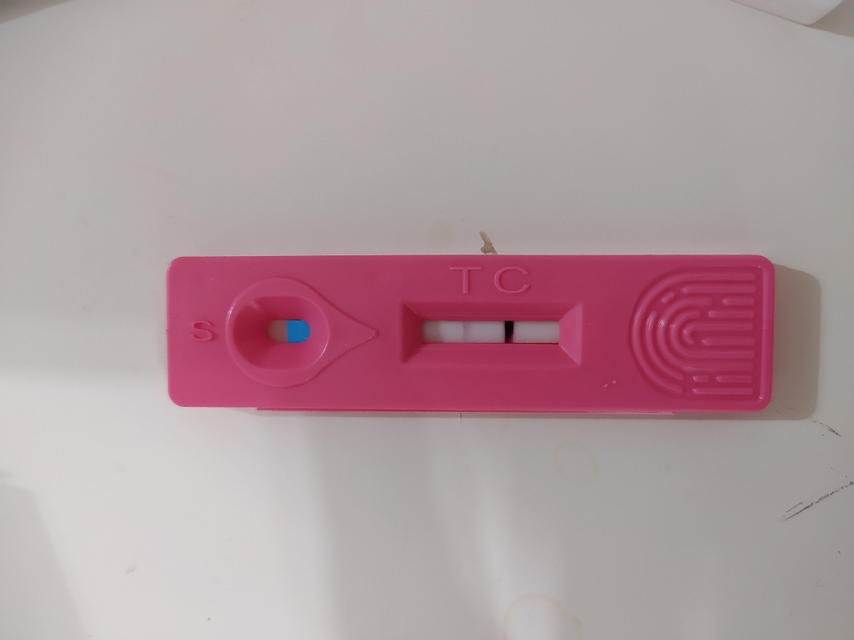 بی بی چک مشکوک