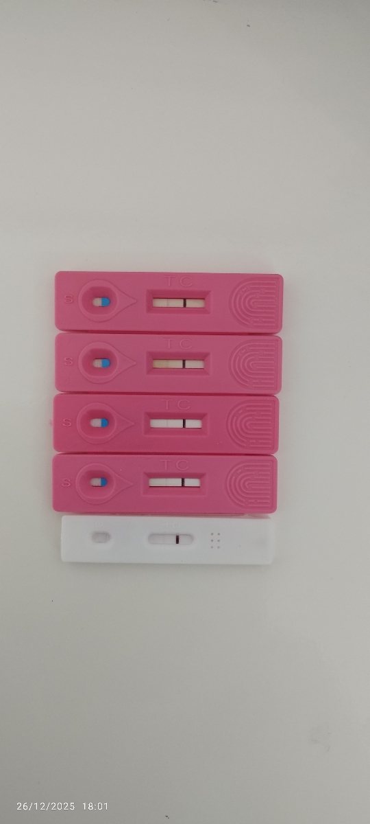 بیبی چک هاله دار