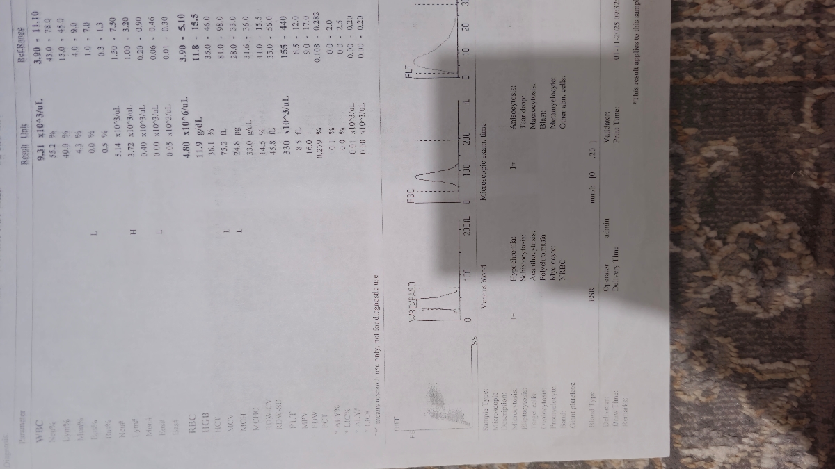 اقدام ب بارداری که داشتم این مدلی درست حساب میشه؟