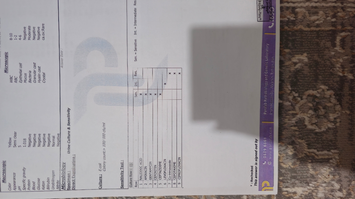 اقدام ب بارداری که داشتم این مدلی درست حساب میشه؟