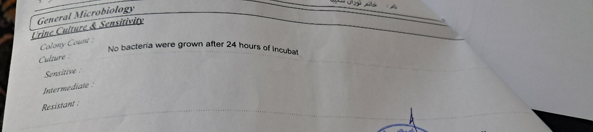 مولتی ویامین برای خانم ۵۲ ساله مولتی ویامین برای خانم ۵۲ ساله