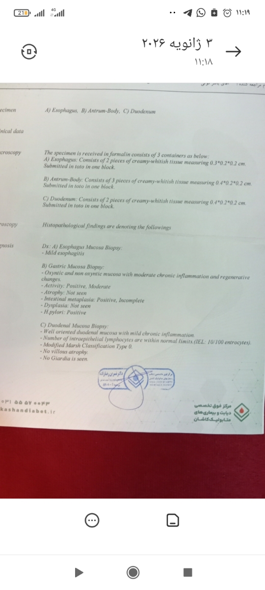 تفسیر گزارش آزمایش برای آقا