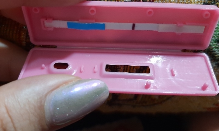 بیبی چک هاله دار بیبی چک هاله دار