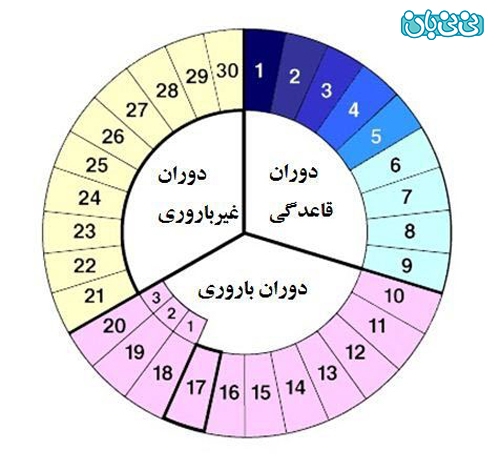 ❤️عزیزانی که دی ماه جواب آزمایش شون مثبت شد ❤️
