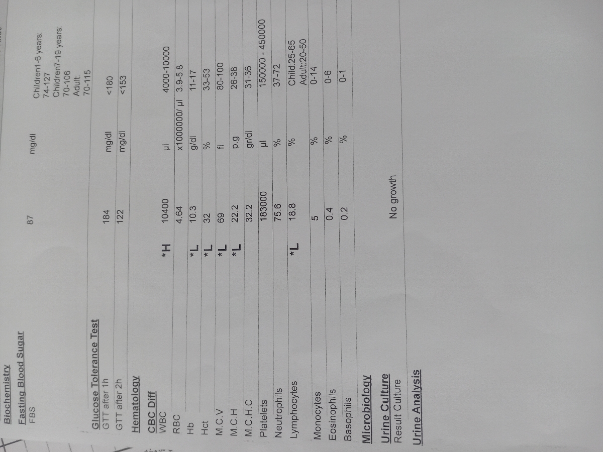 سلام خانم دکتر خوردن شوید پلو یا جعفری در ۳۲هفته