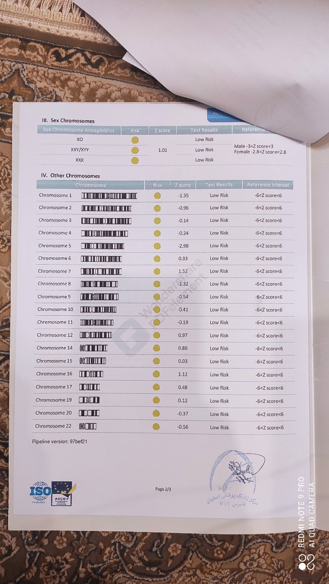 سلفری صفحه۲