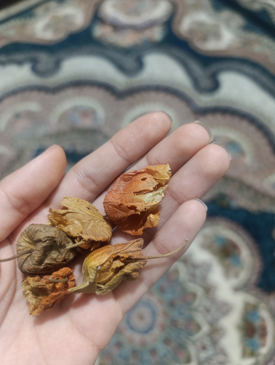 این هست عزیزم 