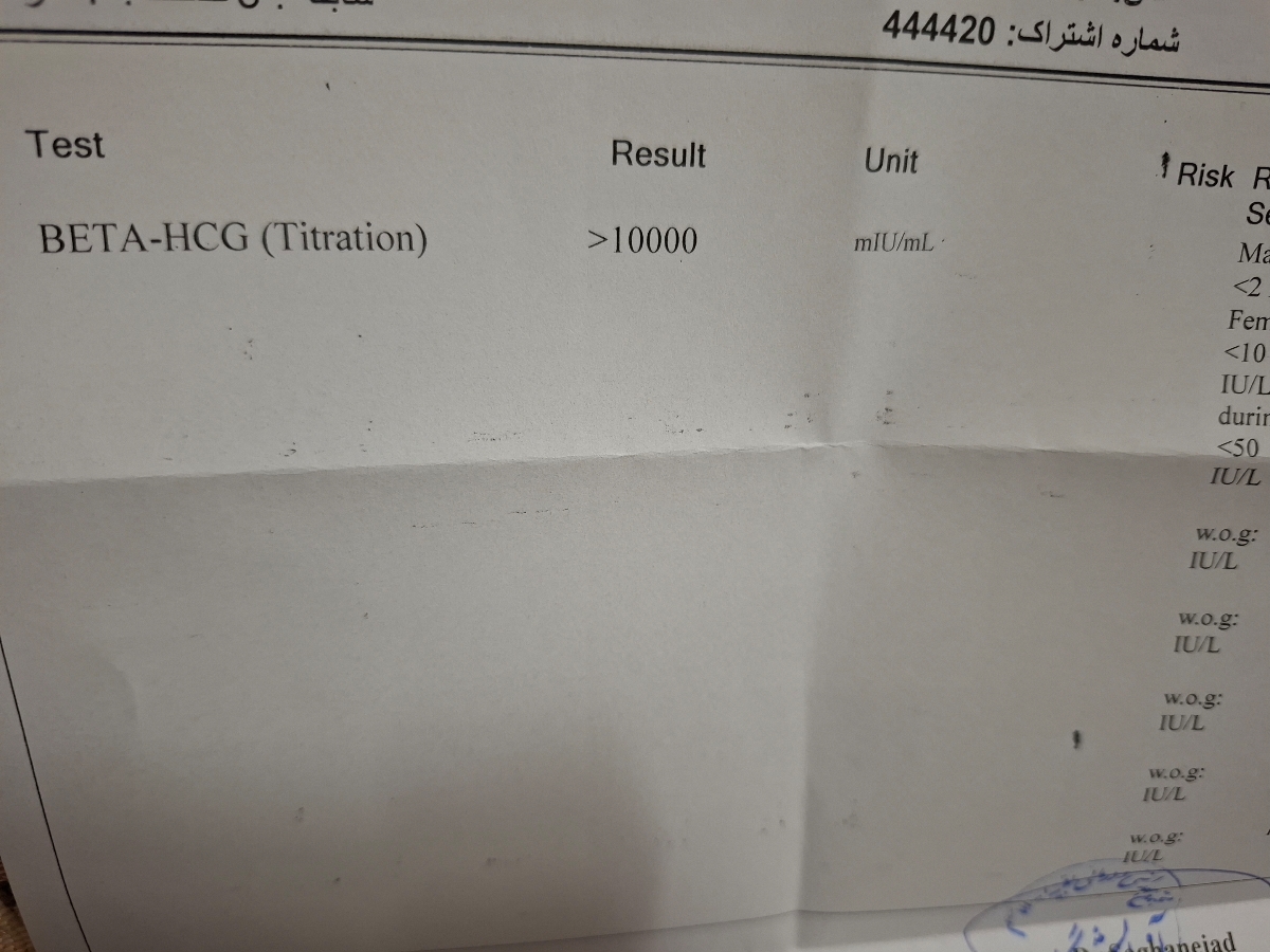 تیتر بتا بعد از دو هفته تیتر بتا بعد از دو هفته