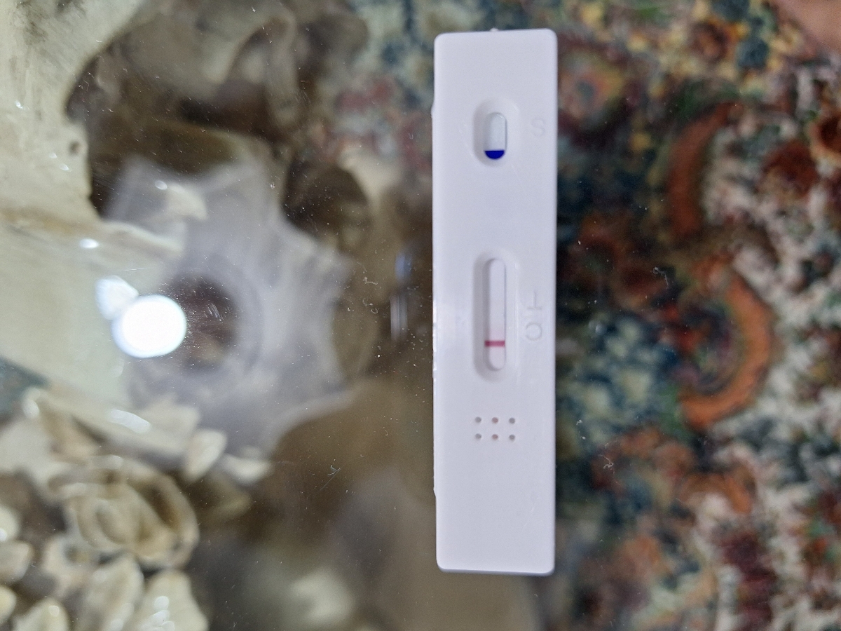 بی بی چک مثبت یا منفی