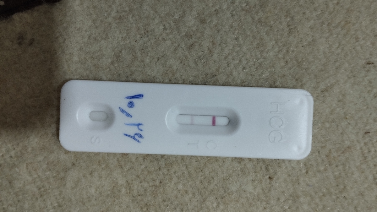 بی بی چک و بارداری بی بی چک و بارداری