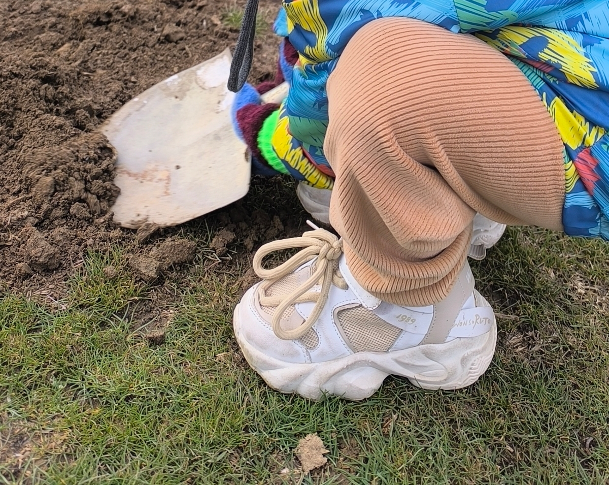 بچها کسی برا خرم اباد تو اوما هست