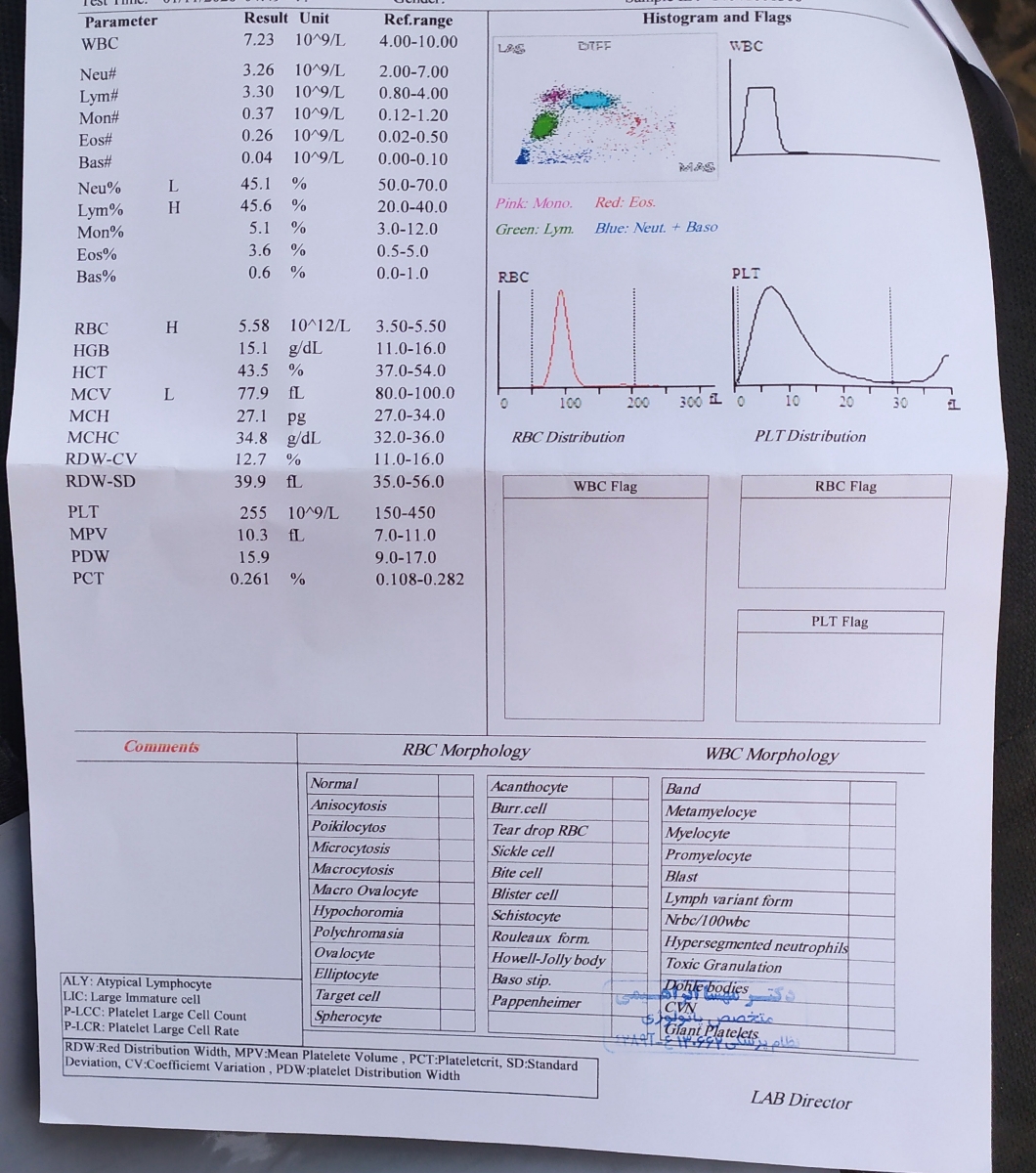 تفسیر ازمایش چکاب کلی