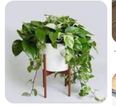 سلام خانمای باسلیقه بیاین پیشنهاد بدین روی کابینت ها رو چی بزارم